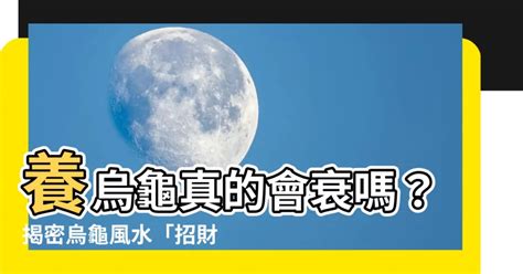 養烏龜 風水|【烏龜風水】揭密烏龜風水：家居養龜招財避煞，必知風水禁忌！